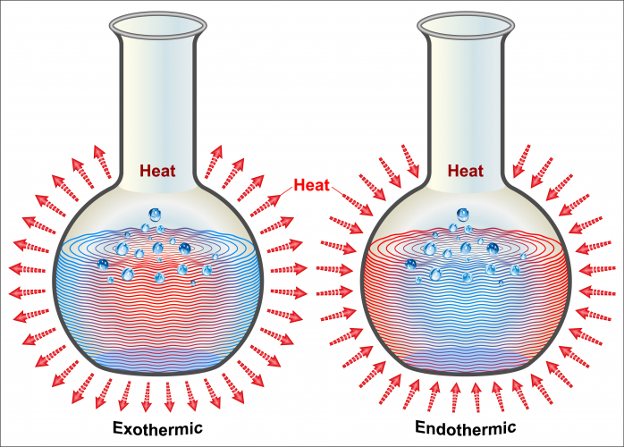 Exothermic and endothermic reactions